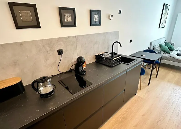 Plac Wolnosci 6 Contactless Check-in 24h Apartmán Poznaň